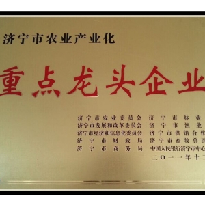 榮譽資質